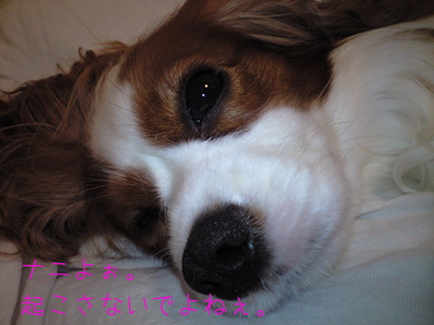 a0120944_13512136.jpg