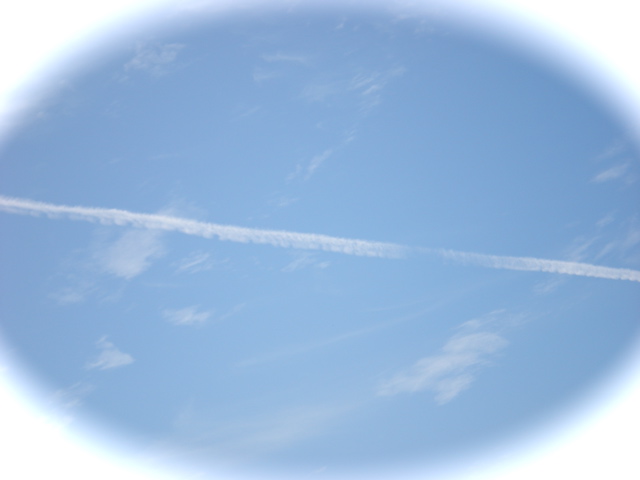 c0153444_10271496.jpg