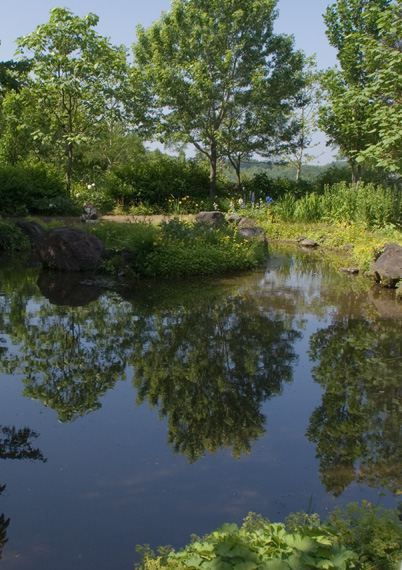 a0112747_19582724.jpg