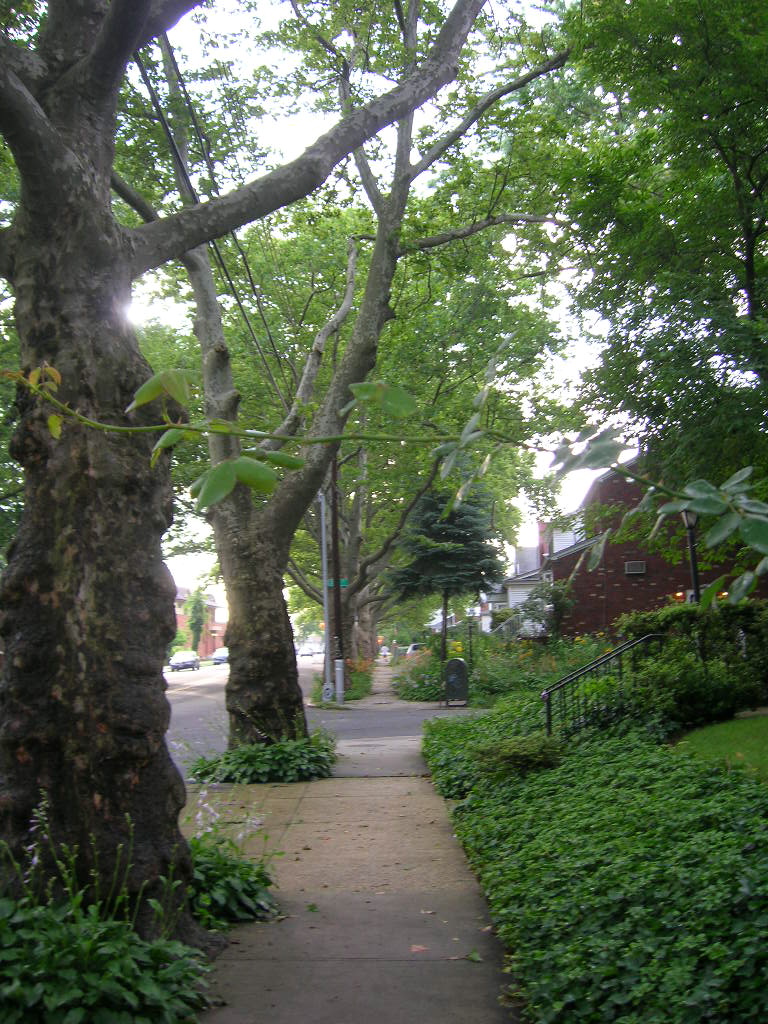 c0194753_2353223.jpg