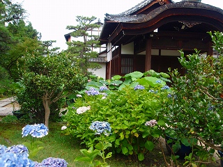 e0004756_2123213.jpg