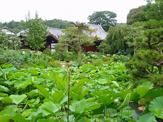 e0004756_21313959.jpg