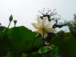 e0004756_214378.jpg