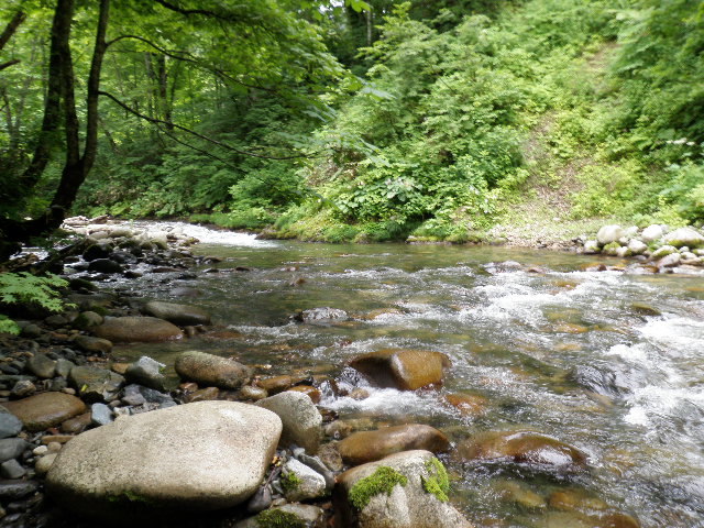 b0120066_172294.jpg