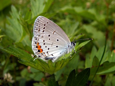 b0130166_17382617.jpg