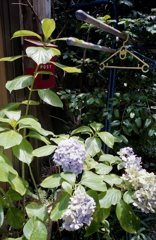 c0084666_2327499.jpg