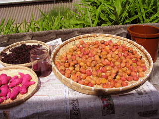 c0022275_16443216.jpg
