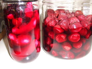 c0022275_1735963.jpg