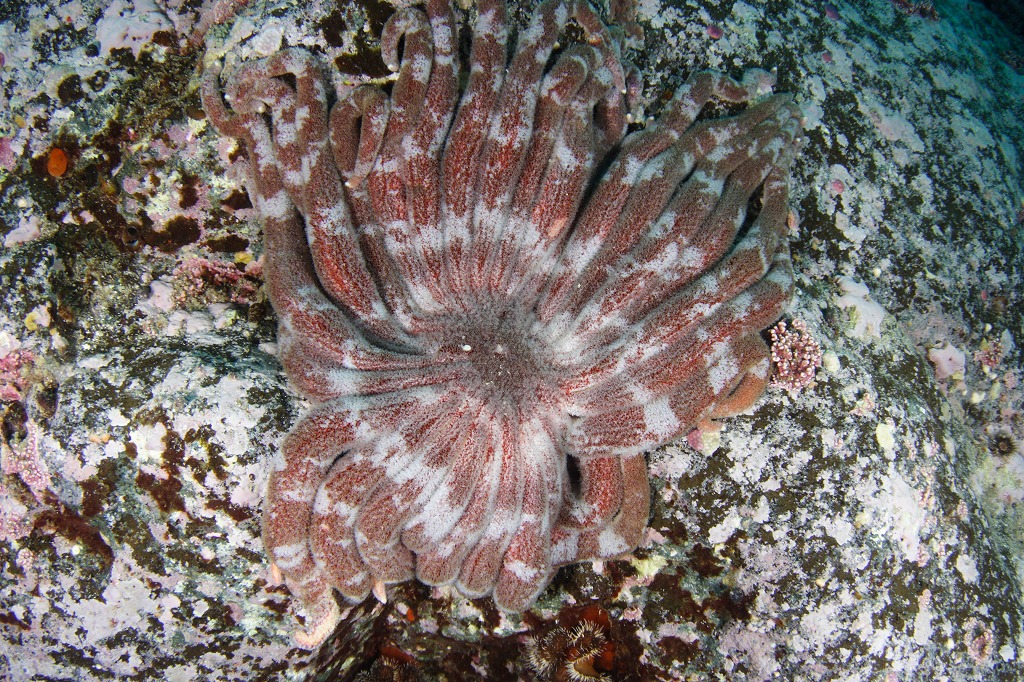 e0105376_0293998.jpg