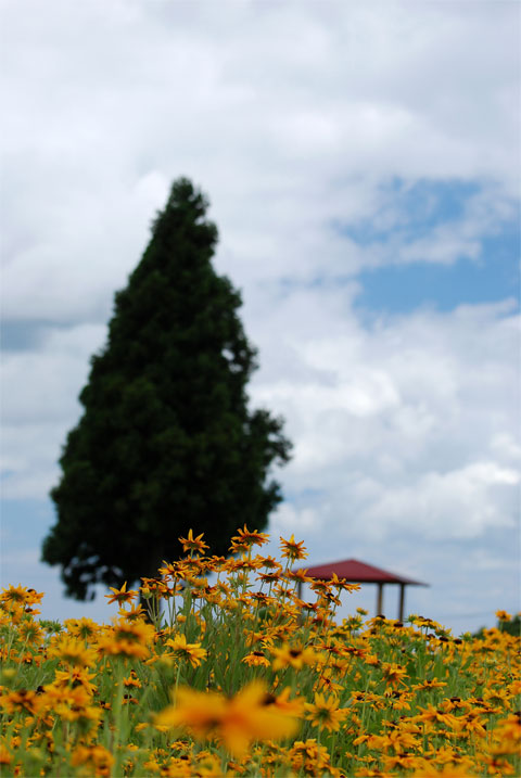 f0108478_17121122.jpg