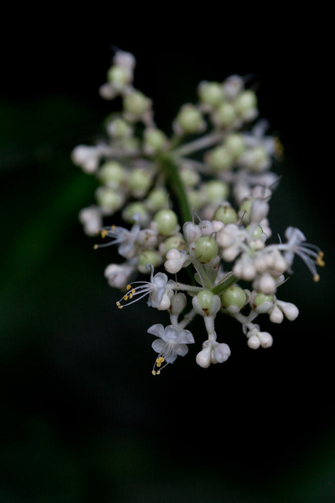 a0083081_15273577.jpg