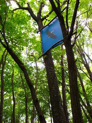 c0172882_16205741.jpg