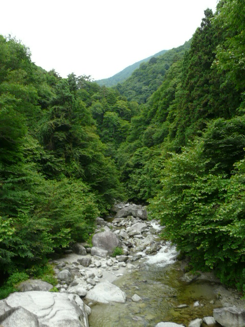 e0145782_17315928.jpg