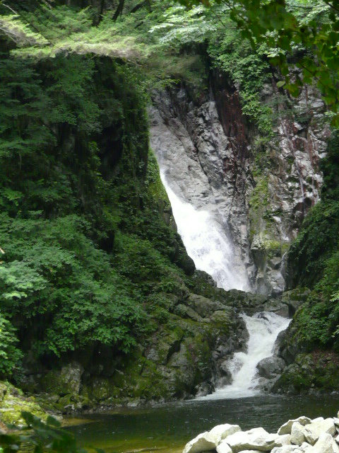 e0145782_17323931.jpg