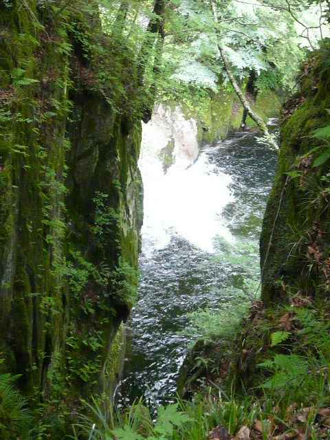 e0145782_17331959.jpg