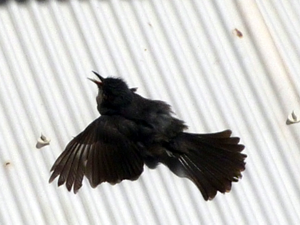 c0125283_23484467.jpg