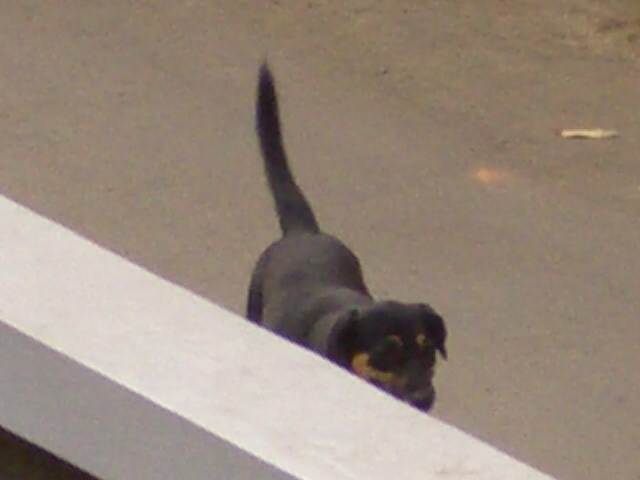 c0175883_21445412.jpg