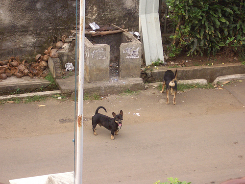 c0175883_2153644.jpg