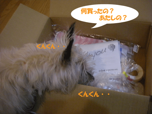 e0066883_23525595.gif