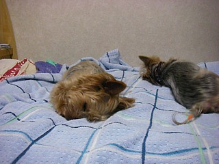 c0191390_22524615.jpg