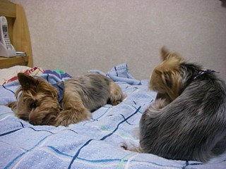 c0191390_22545021.jpg