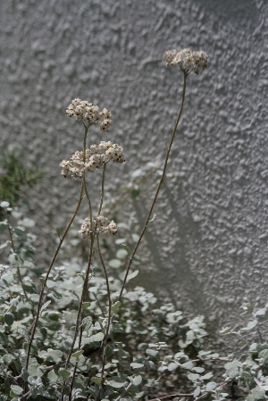 d0133693_22584978.jpg