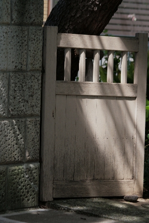 d0133693_2259022.jpg