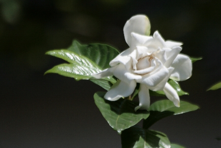 d0133693_22593841.jpg
