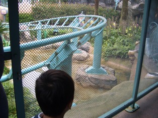 b0184396_2310711.jpg