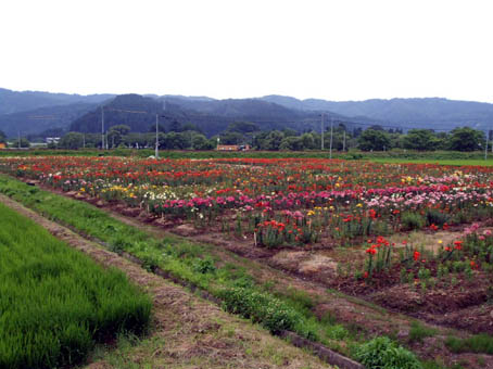f0019498_21461759.jpg