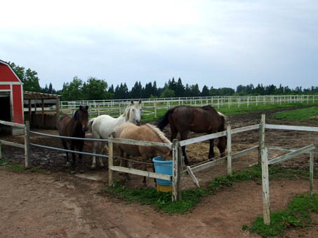 f0019498_21582186.jpg