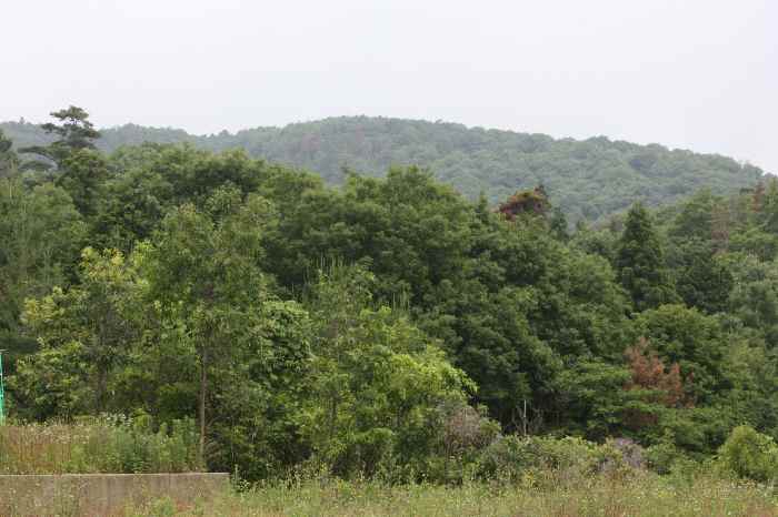 a0062400_21513814.jpg