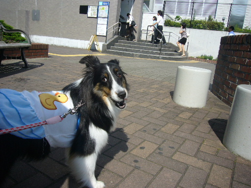 e0130008_19555832.jpg