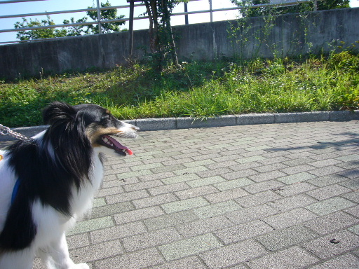 e0130008_2002386.jpg