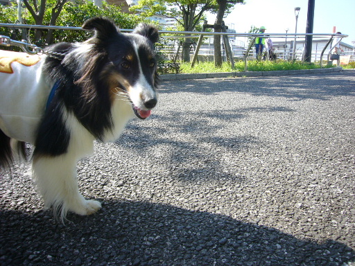 e0130008_2015884.jpg