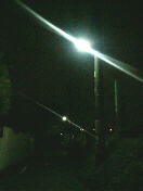 f0127408_2358261.jpg