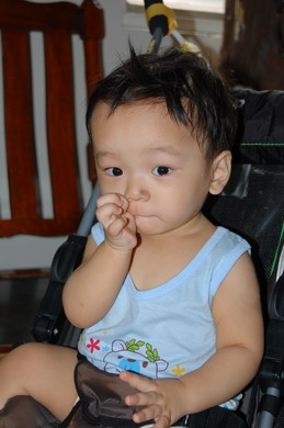 a0105010_1536099.jpg