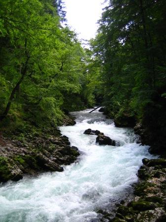 f0198010_8355356.jpg