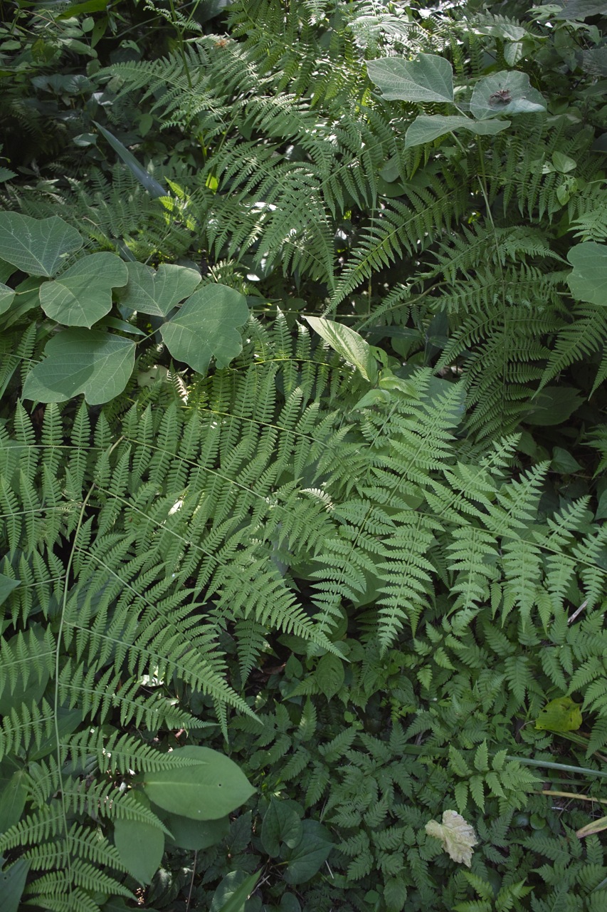 b0137311_2241861.jpg