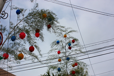 c0116312_9551232.jpg
