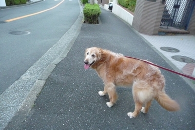d0150013_22125881.jpg