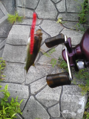 c0128914_8582221.jpg