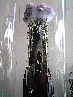 a0052621_1313528.jpg