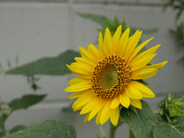 c0124021_20553092.jpg