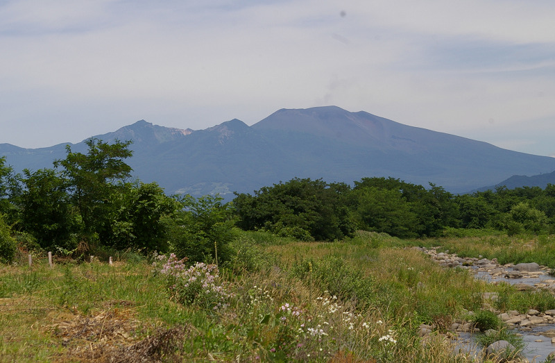 e0136424_1541755.jpg