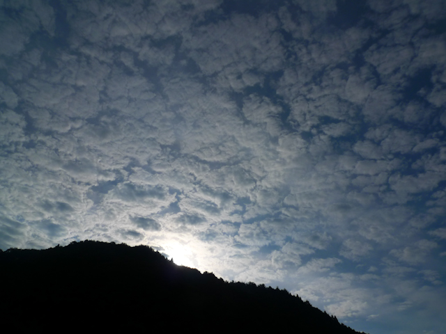 b0117833_21204368.jpg