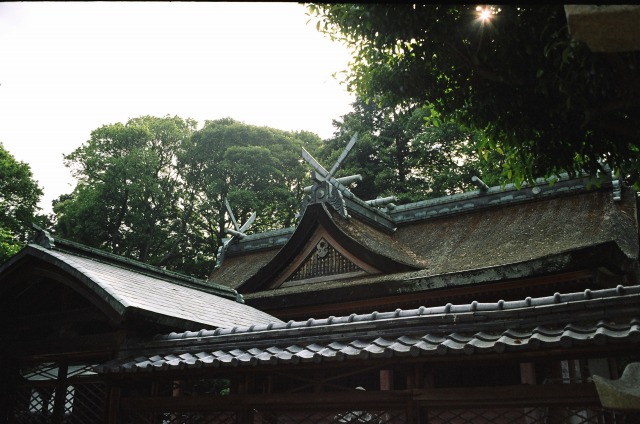 e0149335_18192263.jpg