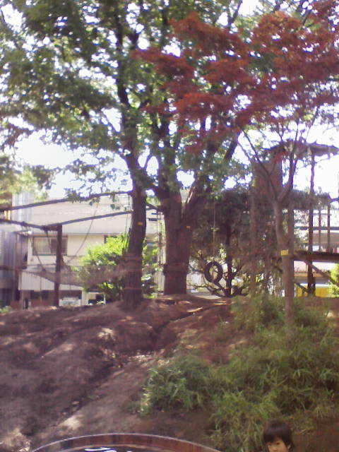 e0089438_121544.jpg