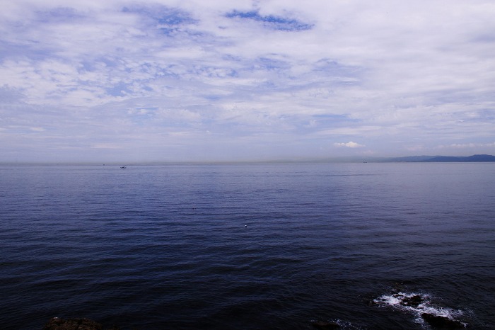 b0168041_171411100.jpg