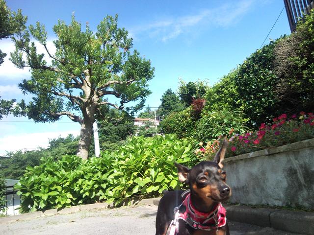 e0150843_18505372.jpg